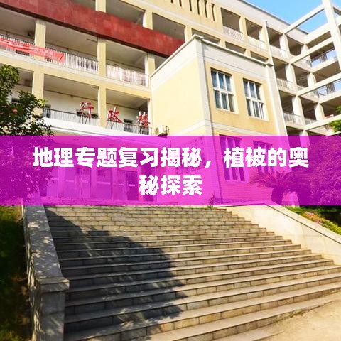 地理专题复习揭秘，植被的奥秘探索