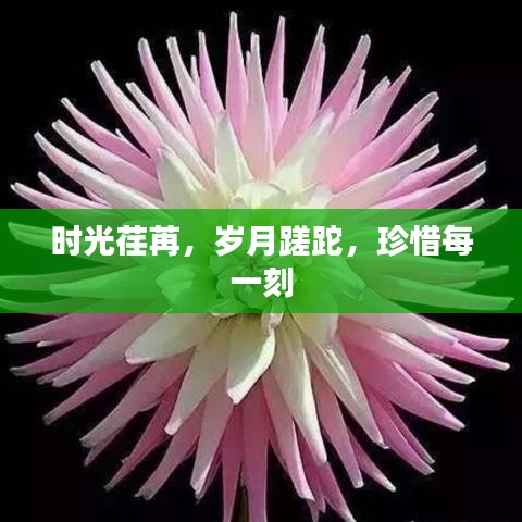 时光荏苒，岁月蹉跎，珍惜每一刻