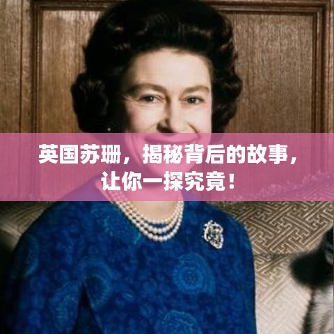 英国苏珊，揭秘背后的故事，让你一探究竟！