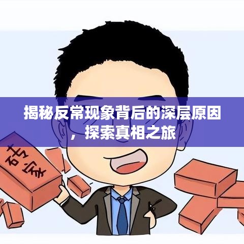 揭秘反常现象背后的深层原因，探索真相之旅