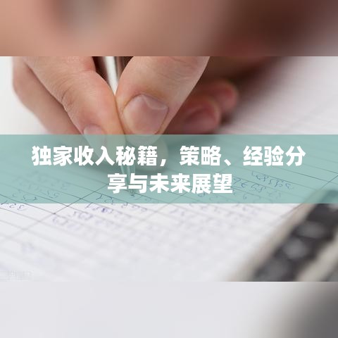 独家收入秘籍，策略、经验分享与未来展望