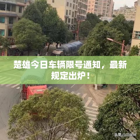 楚雄今日车辆限号通知，最新规定出炉！