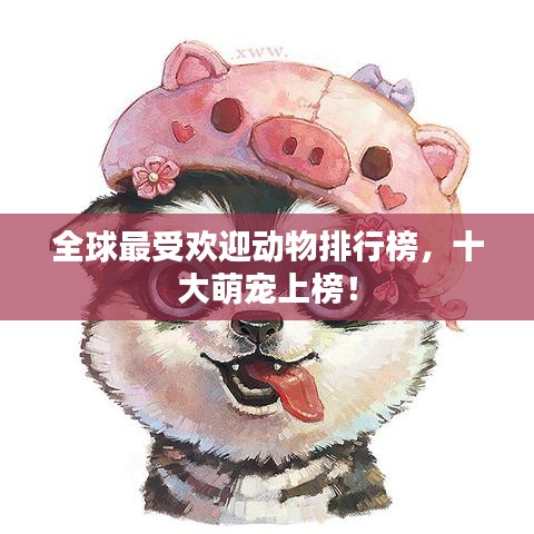 全球最受欢迎动物排行榜，十大萌宠上榜！