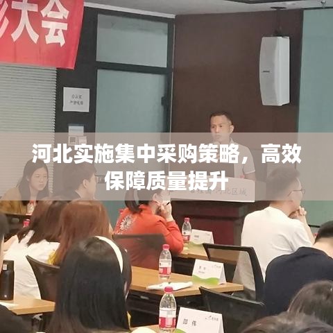 河北实施集中采购策略，高效保障质量提升