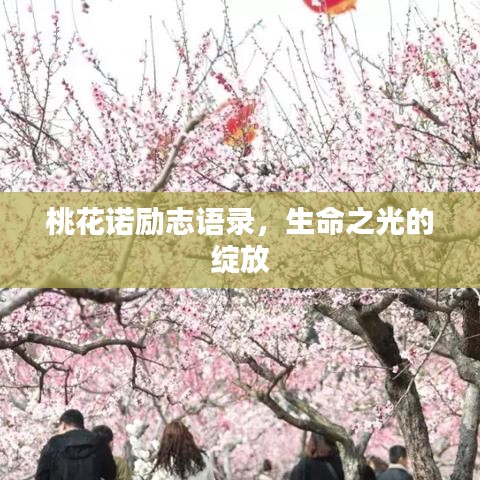 桃花诺励志语录，生命之光的绽放