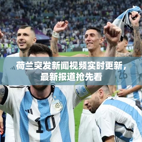 荷兰突发新闻视频实时更新，最新报道抢先看