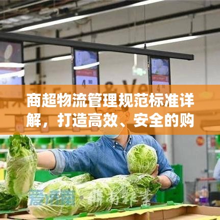 商超物流管理规范标准详解，打造高效、安全的购物体验