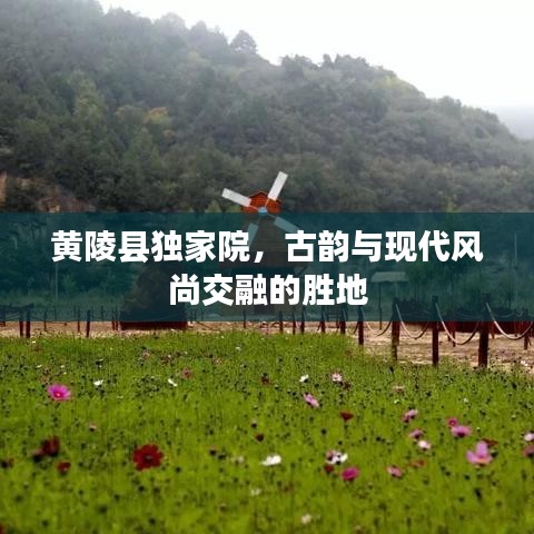 黄陵县独家院，古韵与现代风尚交融的胜地
