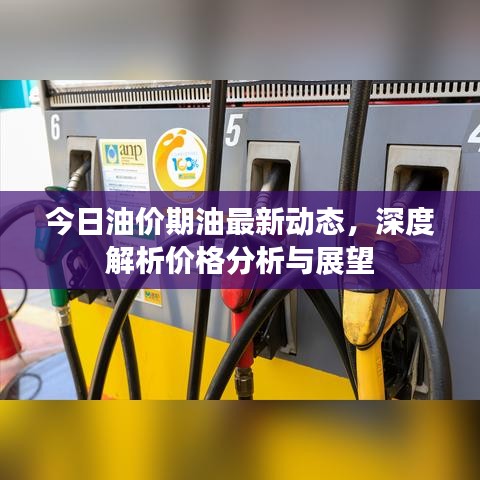 今日油价期油最新动态，深度解析价格分析与展望