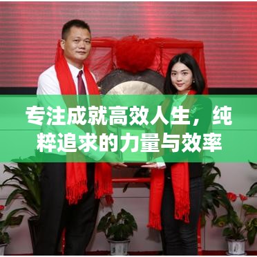 专注成就高效人生，纯粹追求的力量与效率之道