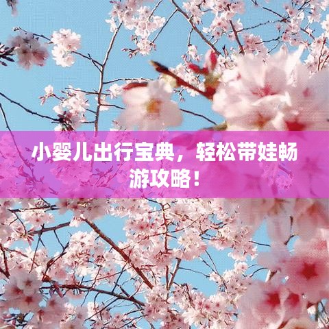 小婴儿出行宝典，轻松带娃畅游攻略！
