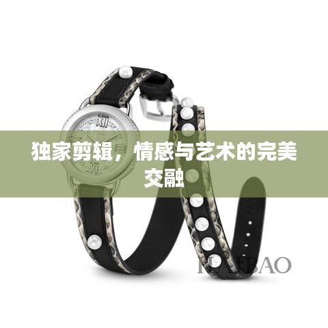 独家剪辑，情感与艺术的完美交融