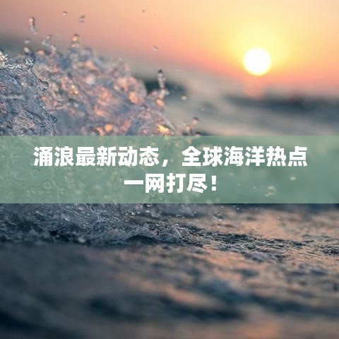 涌浪最新动态，全球海洋热点一网打尽！