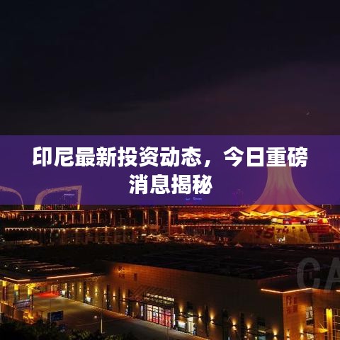 印尼最新投资动态，今日重磅消息揭秘