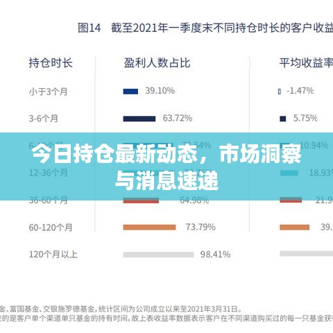 今日持仓最新动态，市场洞察与消息速递