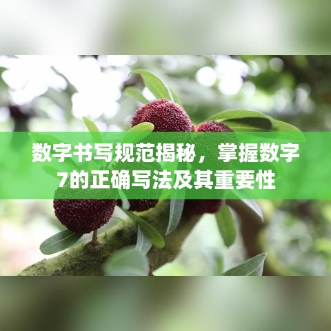 数字书写规范揭秘，掌握数字7的正确写法及其重要性