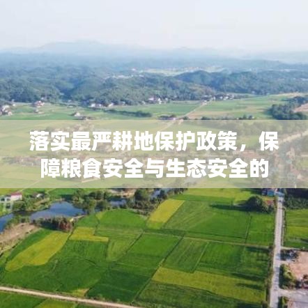 落实最严耕地保护政策，保障粮食安全与生态安全的战略抉择