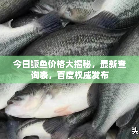 今日鳜鱼价格大揭秘，最新查询表，百度权威发布