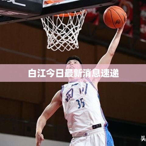 白江今日最新消息速递