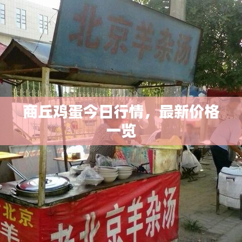 商丘鸡蛋今日行情，最新价格一览
