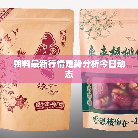 朔料最新行情走势分析今日动态