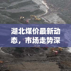 湖北煤价最新动态，市场走势深度分析与展望