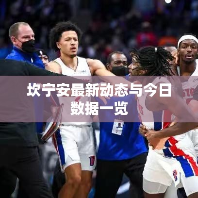 坎宁安最新动态与今日数据一览