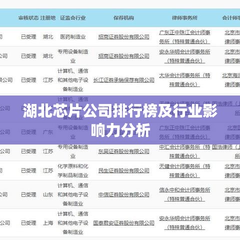 湖北芯片公司排行榜及行业影响力分析