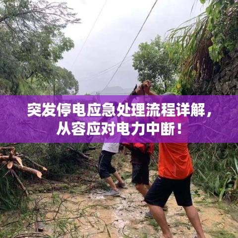 突发停电应急处理流程详解，从容应对电力中断！