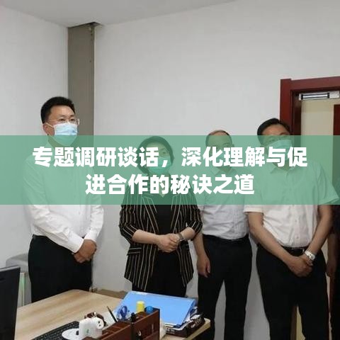 专题调研谈话，深化理解与促进合作的秘诀之道