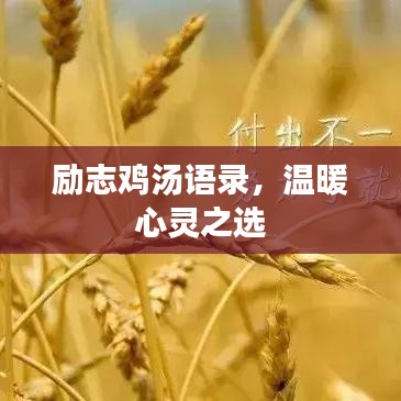 励志鸡汤语录，温暖心灵之选